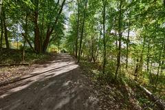 Helsingin keskuspuisto park in Laakso with green trees and walking path on a sunny day
