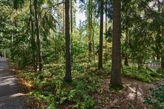 Helsingin keskuspuisto park with green trees and walking paths in Länsi-Pasila
