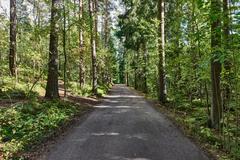 Helsingin keskuspuisto park in Länsi-Pasila with greenery and pathways