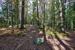 Central Park in Helsinki with lush green trees and walking paths in Länsi-Pasila