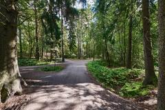 Helsingin keskuspuisto park with green trees in Länsi-Pasila