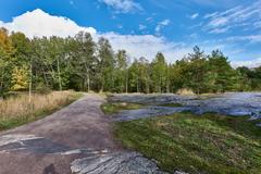 Helsingin keskuspuisto park in Laakso with green trees and open fields