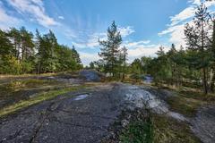 Helsingin keskuspuisto park in Laakso with lush greenery and walking paths