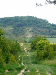 Panoramic view of Monte Olárizu in Vitoria