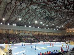 Handball friendly match between Poland and Croatia national teams
