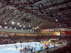 Friendly handball match between Poland and Croatia national teams in an indoor arena