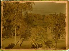 Autumn in Kaisaniemen puisto park with brownish-yellow hues in 1908
