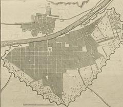 Historic illustrated map of Peru detailing plants, animals, and machinery in the region with relief and individual mountains