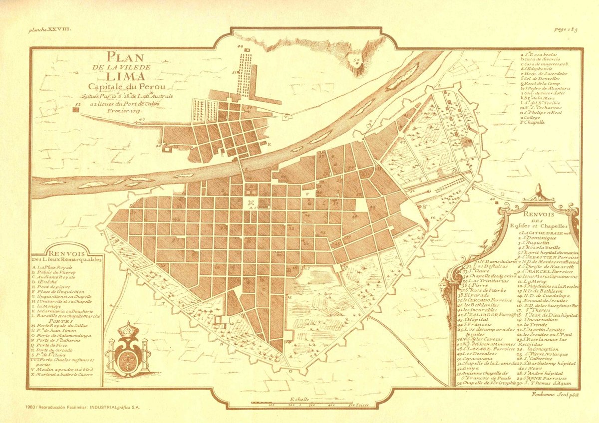 Vintage illustration of various species of doves and pigeons in Planche XXVIII