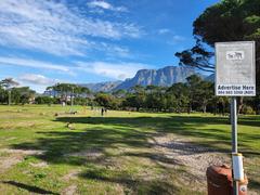 View of Keurboom Park with Squirrels Way pathway in Cape Town and Table Mountain in the background