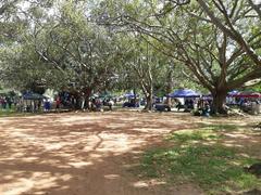 Potter's Market at Rondebosch Park with various pottery items displayed under tents