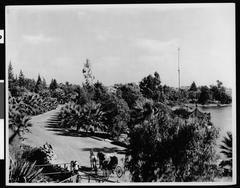 View of Westlake Park (later MacArthur Park) in 1900 showing horse and buggy near a lake with people and trees