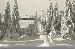 Black and white photo of Øvresæteren building near Frognersæteren in Oslo around 1930