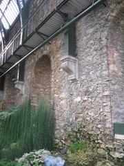 Paleobotany greenhouse at Jardin des Plantes in Paris with various plants inside