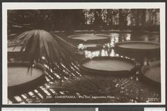 Historic view of Christiania from the Botanical Garden in Tøyen, Oslo