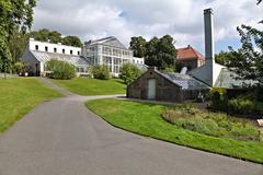 Lush green botanical garden in Oslo on a sunny day