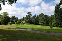 Botanical garden in Oslo with lush green trees and a clear blue sky
