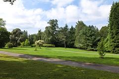 Scenic view of Botanical Garden in Oslo with diverse green plants and trees under clear blue sky