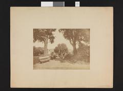 vintage photograph of the Botanical Garden in Kristiania (Oslo), Norway