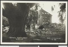 View of Tøyen, Oslo with Botanical Museum and Møe's pil tree