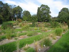 View of the Oslo Botanical Garden with lush greenery and colorful flowers in Oslo, Norway