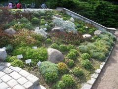 Beautiful view of Oslo Botanical Garden with lush greenery, trees, and clear sky
