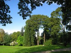 Beautiful view of Oslo Botanical Garden with colorful flowers and green trees