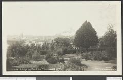 View of Tøyen Park in Oslo with trees and buildings in the background