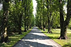Botanical garden in Oslo with lush greenery and a historic glass greenhouse
