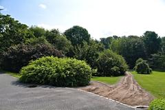 Botanical garden in Oslo with lush green trees and a clear blue sky