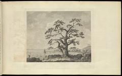 1773 engraving depicting HMS Endeavour anchored in Matavai Bay, Tahiti with a tree in the foreground