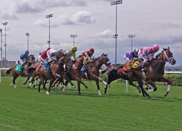 Woodbine E.P. Taylor turf horse racing course under sunny sky