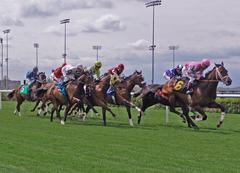 Woodbine Racetrack