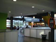 University Of Toronto Scarborough
