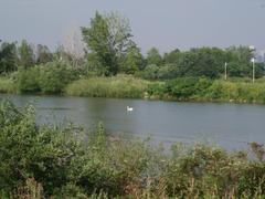 Scenic view of Humber Bay Park with lake, trails, and city skyline in the background