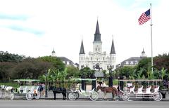 Horse-drawn carriages lined up near Jackson Square in New Orleans offering leisurely city tours