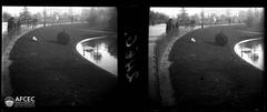 Beautiful panoramic view of Jardins del Rei Albert I with green trees and walking paths