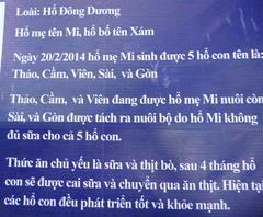 Tiger information board at Thao Cam Vien Saigon zoo