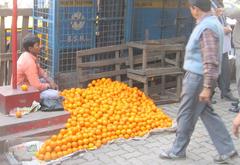 Hawker at busy street crossing in Kolkata