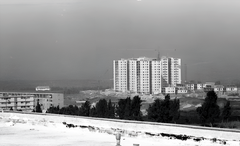 construction site of Tel Aviv University campus with cranes and building structure