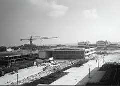 Università Di Tel Aviv