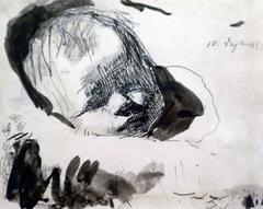Portrait of a sleeping child, ink and wash drawing by Käthe Kollwitz