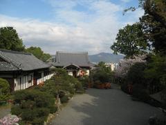 The Shamusho - shrine's administrative office at Kenkun Shrine in spring