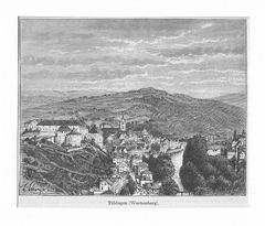 Wood engraving print of Tübingen town from Schlossberg viewpoint