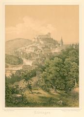View of Tübingen from the southern Österberg hill color lithograph 1878