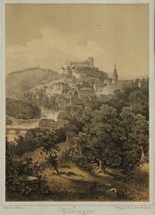 View of Tübingen with Neckar Bridge, Collegiate Church, and Castle lithograph