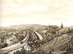 Lithograph of Tübingen from the southeast side showing Neckar valley, Neckarvorstadt, Platanenallee, Österberg with vineyards, Stiftskirche and Hohentübingen in 1850