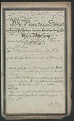 University diploma certificate from University of Halle-Wittenberg