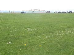 Marina Green