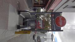 Dorrego